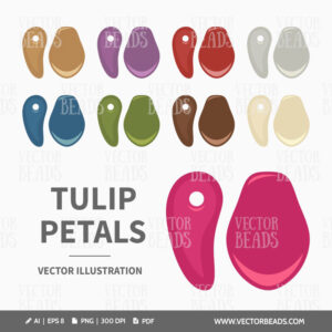 Tulip petal beads vector art